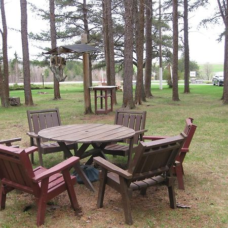 Pinecone Motel Sussex Luaran gambar