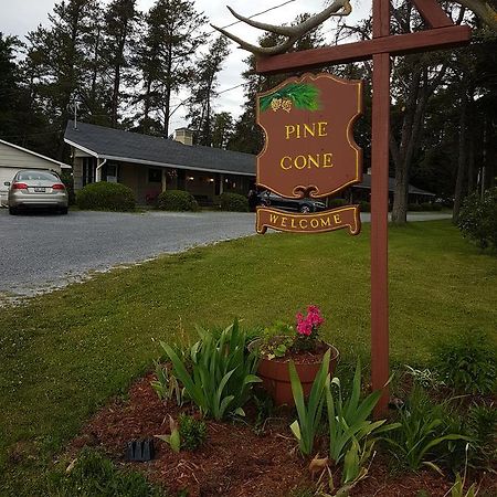 Pinecone Motel Sussex Luaran gambar