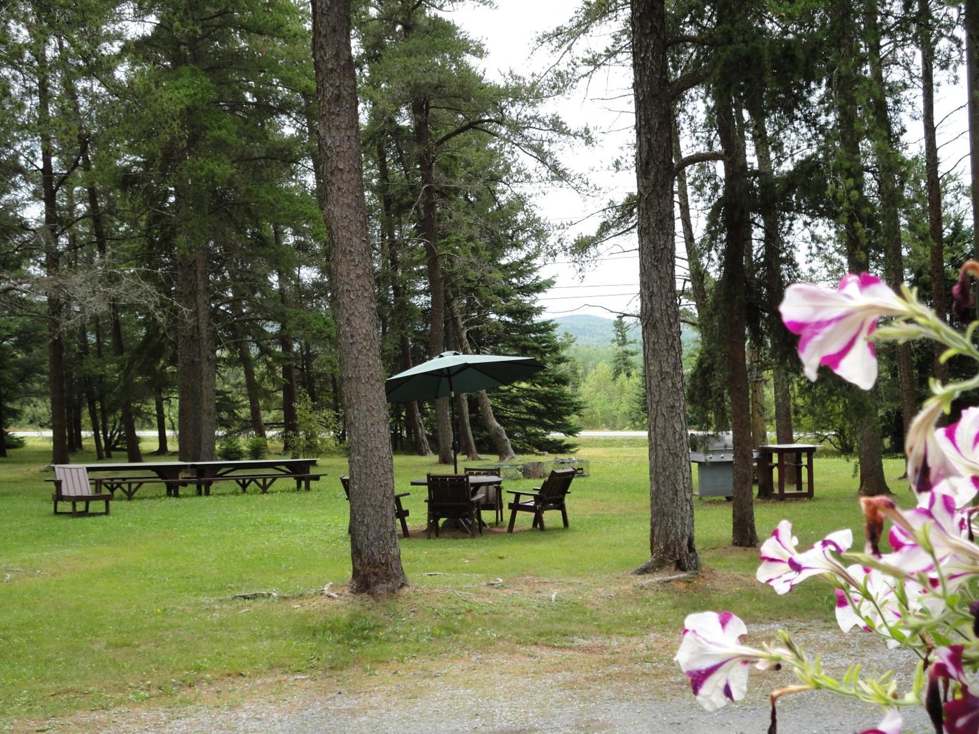 Pinecone Motel Sussex Luaran gambar