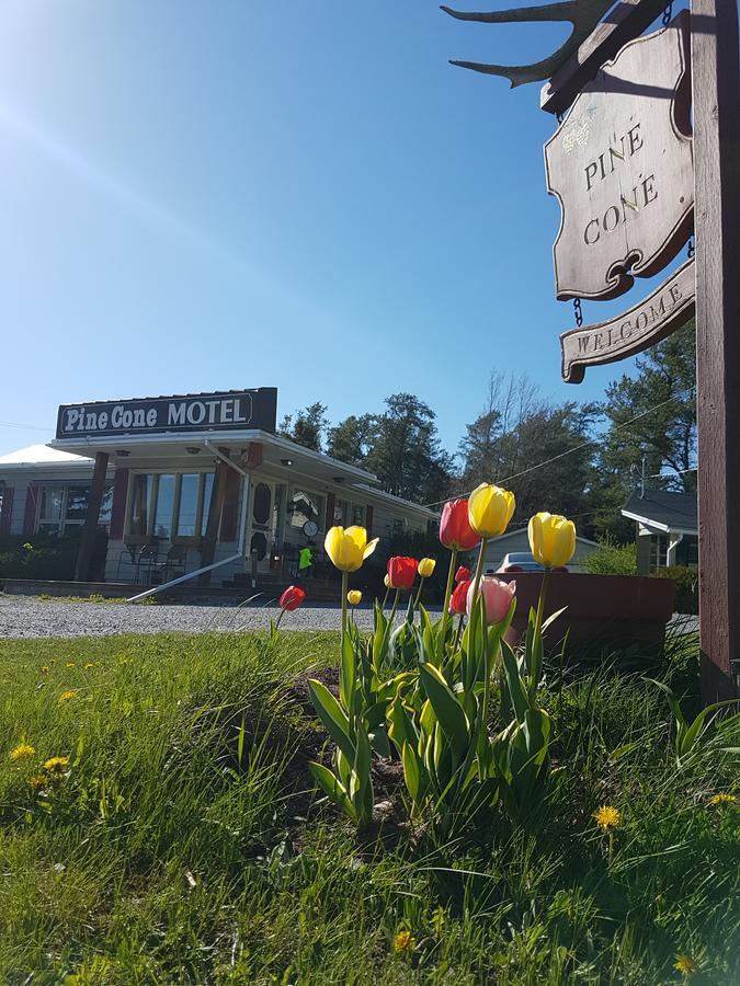 Pinecone Motel Sussex Luaran gambar