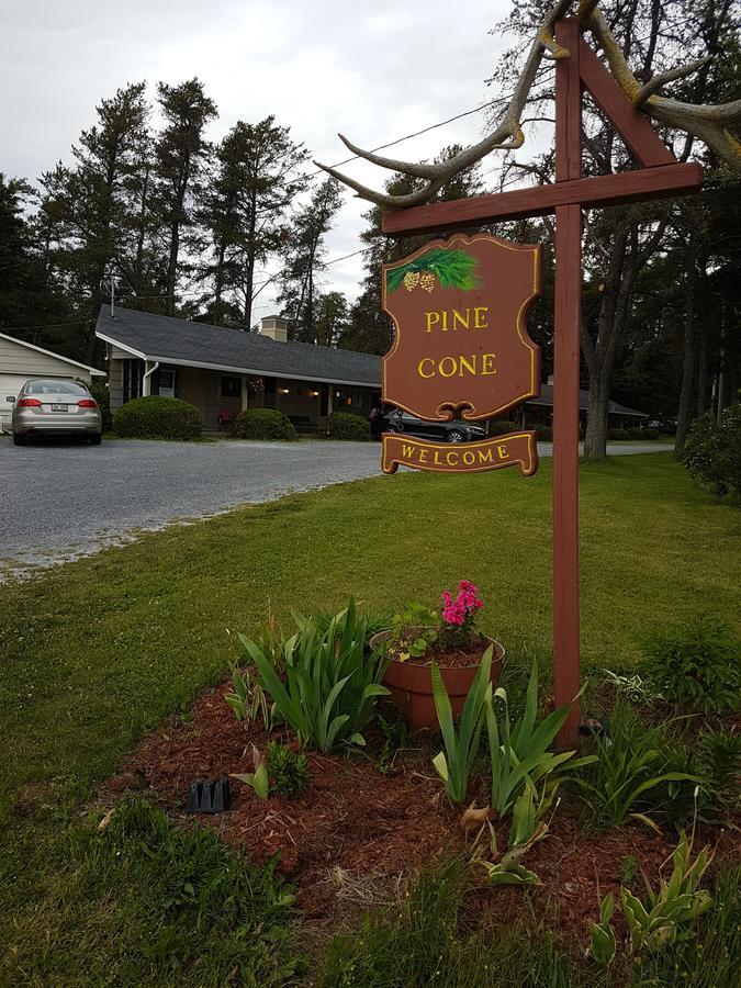 Pinecone Motel Sussex Luaran gambar