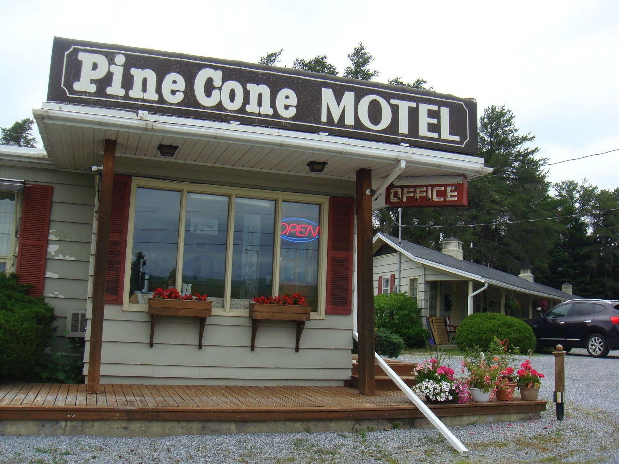 Pinecone Motel Sussex Luaran gambar