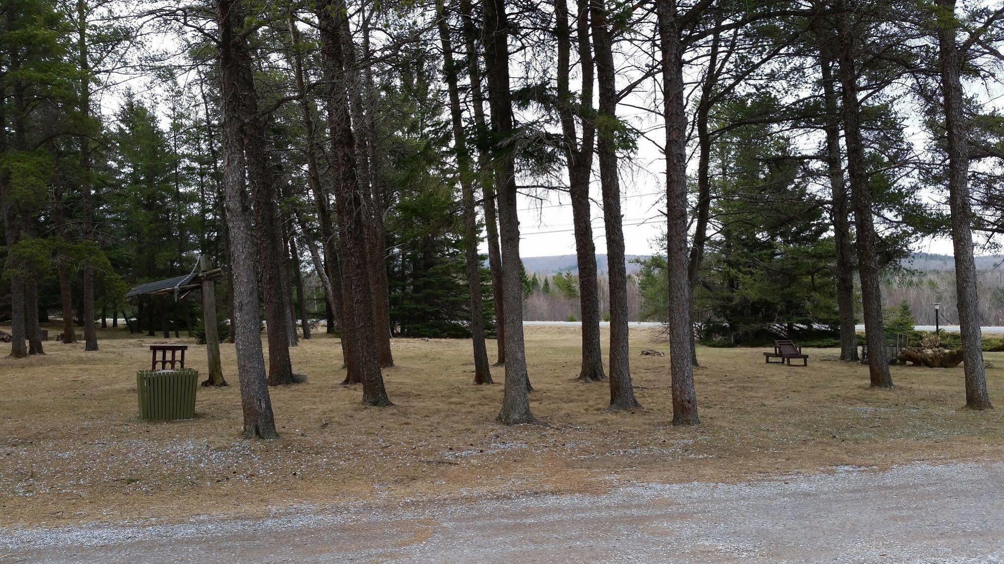 Pinecone Motel Sussex Luaran gambar