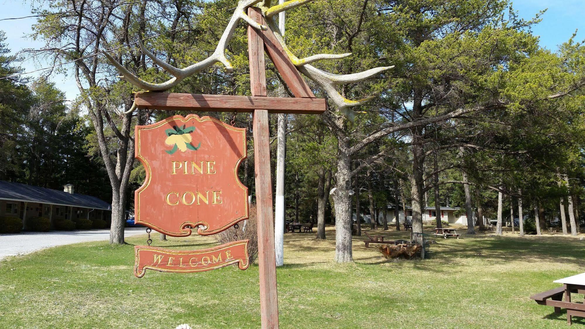 Pinecone Motel Sussex Luaran gambar