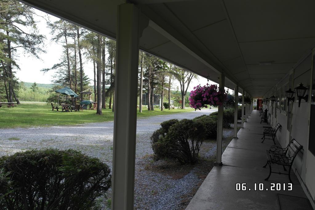 Pinecone Motel Sussex Luaran gambar