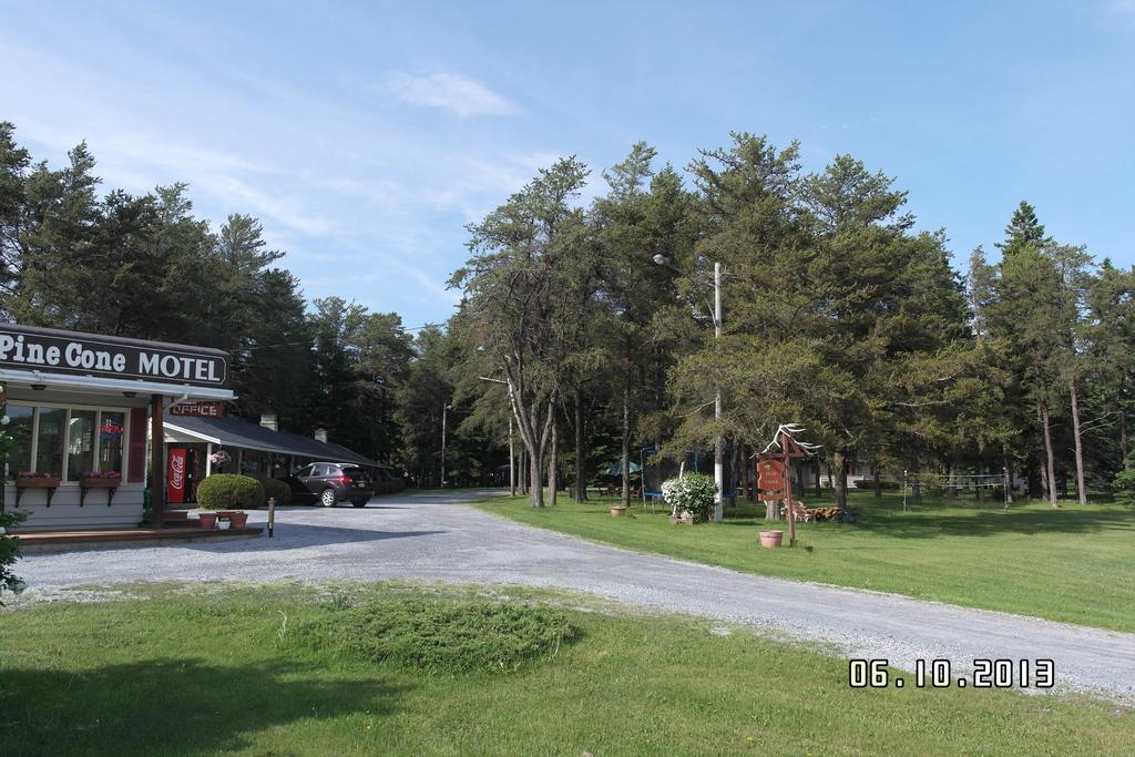Pinecone Motel Sussex Luaran gambar